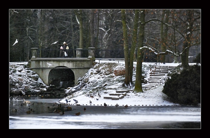 Nad brzegiem, zimą