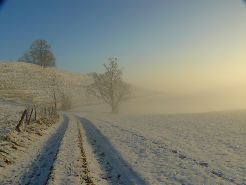 Allgäu