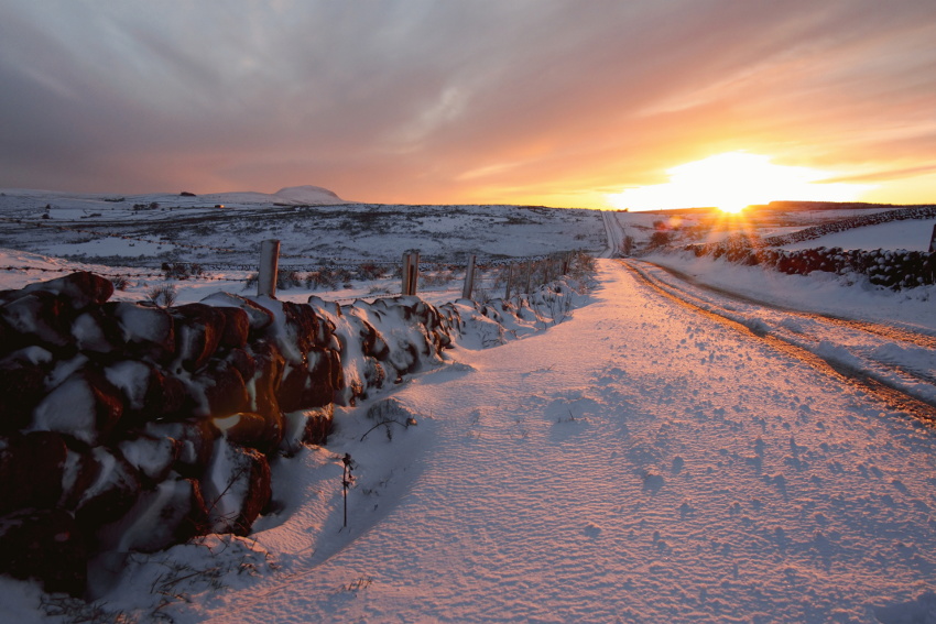 White Ireland