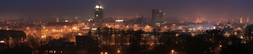 Panorama Gdańska z Góry Gradowej