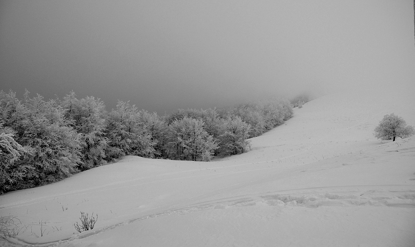 Mgliste Bieszczady