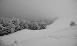 Mgliste Bieszczady