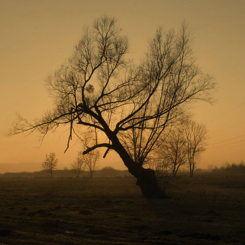 styczniowa melancholia