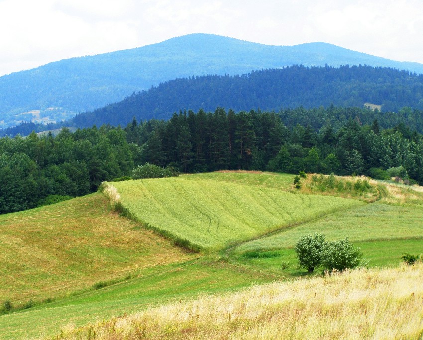 Beskid Wyspowy 2