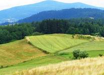 Beskid Wyspowy 2