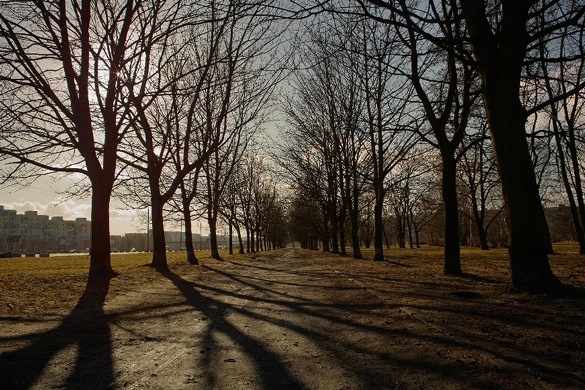 Chwila wiosny w środku zimy.