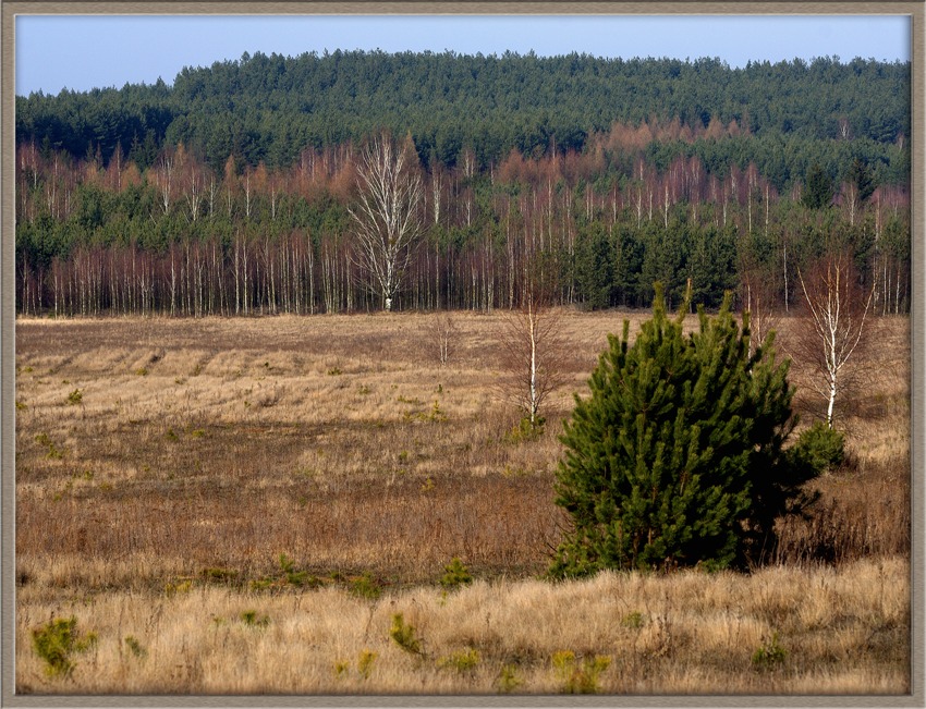 Podlasie