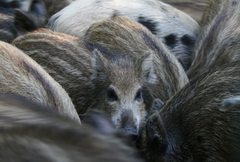 Samotny wśród tłumu