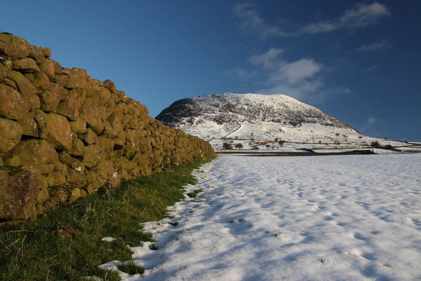 Slemish na biało