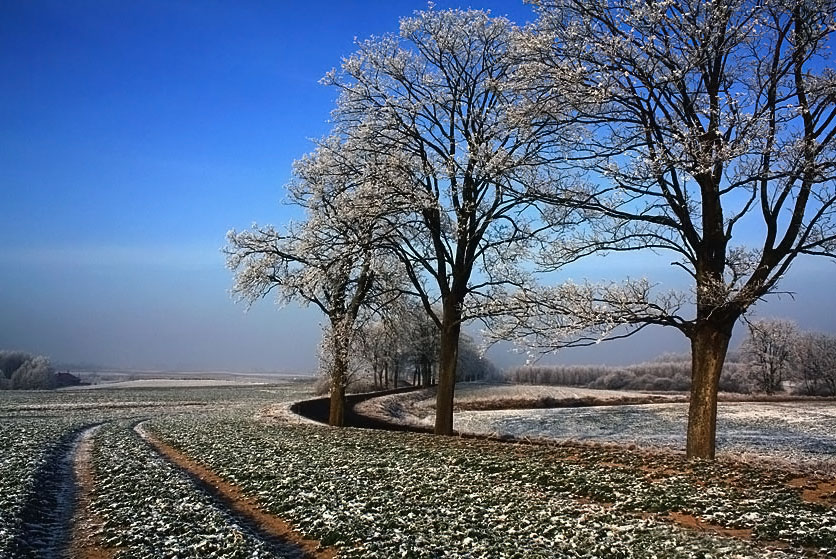 Czy to już przedwiośnie...