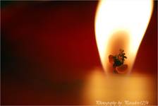 Candle Light2