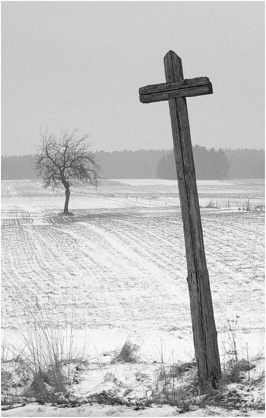 Podlaskie klimaty