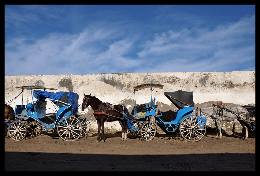 Bryczki - Essaouira