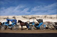 Bryczki - Essaouira