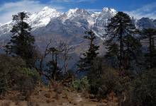 Trekking w Sikkimie