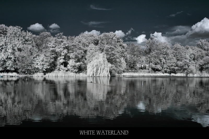 white waterland