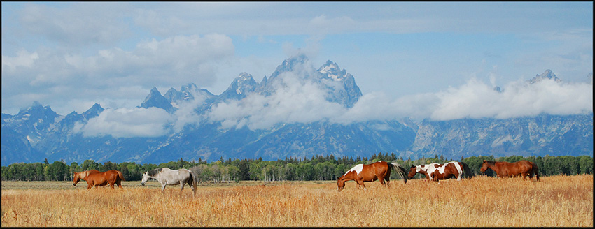 G.T.N.P. Wyoming