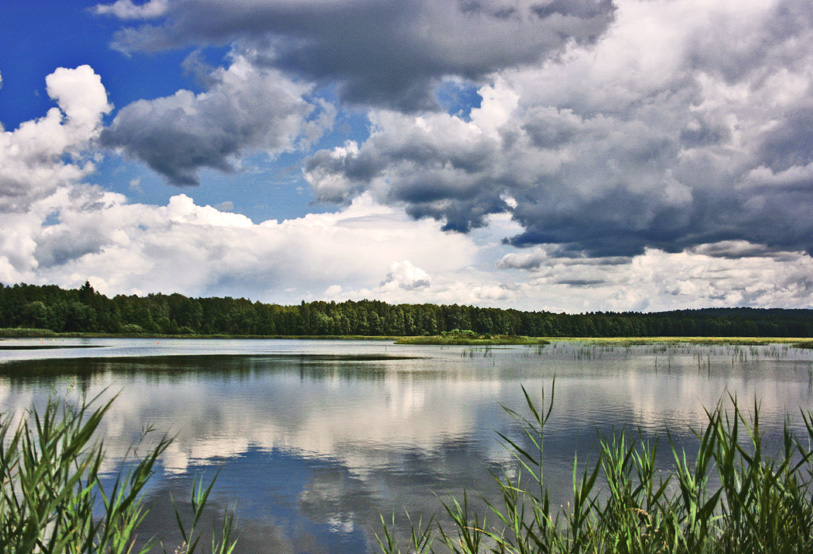 Stawy Echo/Zwierzyniec