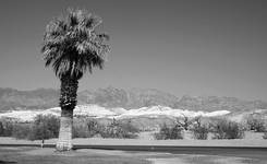 Furnace Creek