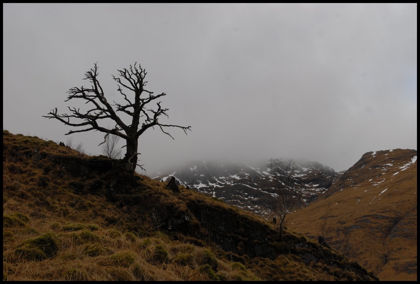 GlenCoe