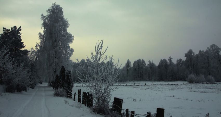 Ostatnie podrygi prawdziwej zimy???