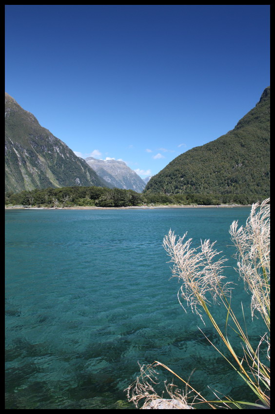 Milford sound