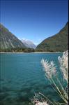 Milford sound