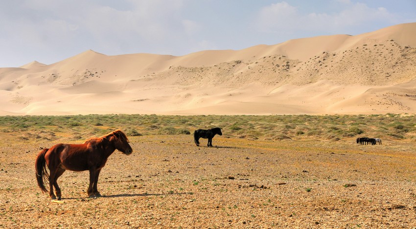 Mongolia