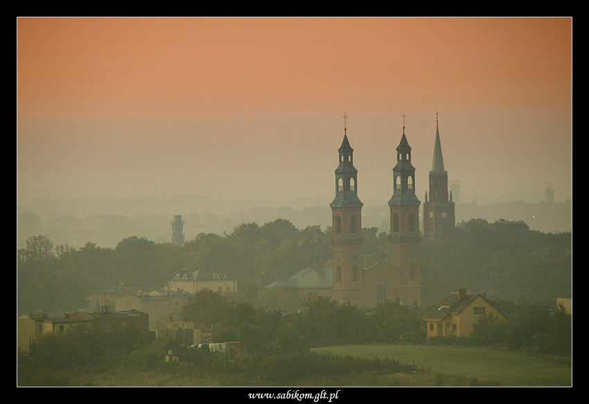 moje miasto