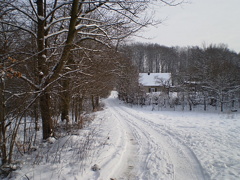 leśniczówka