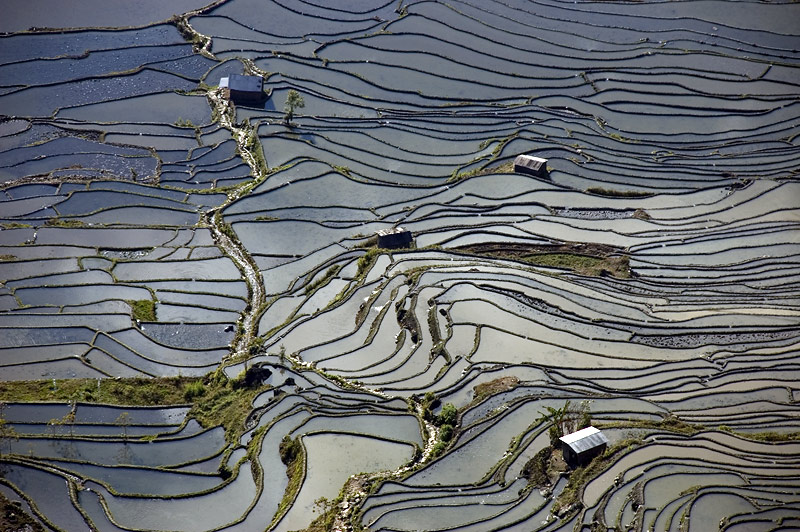 Yuanyang rice terraces, China