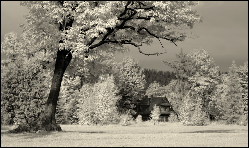 Zakopane