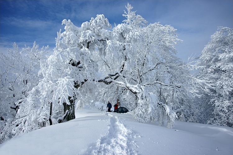 Karpaty Camping