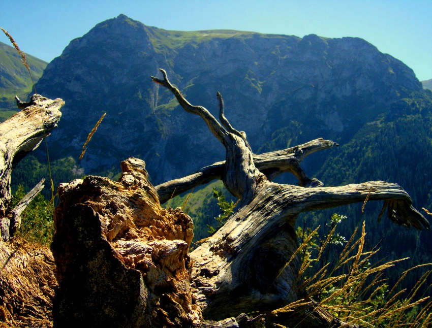 w drodze na Giewont