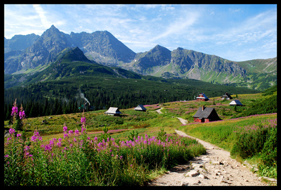 Hala Gąsienicowa