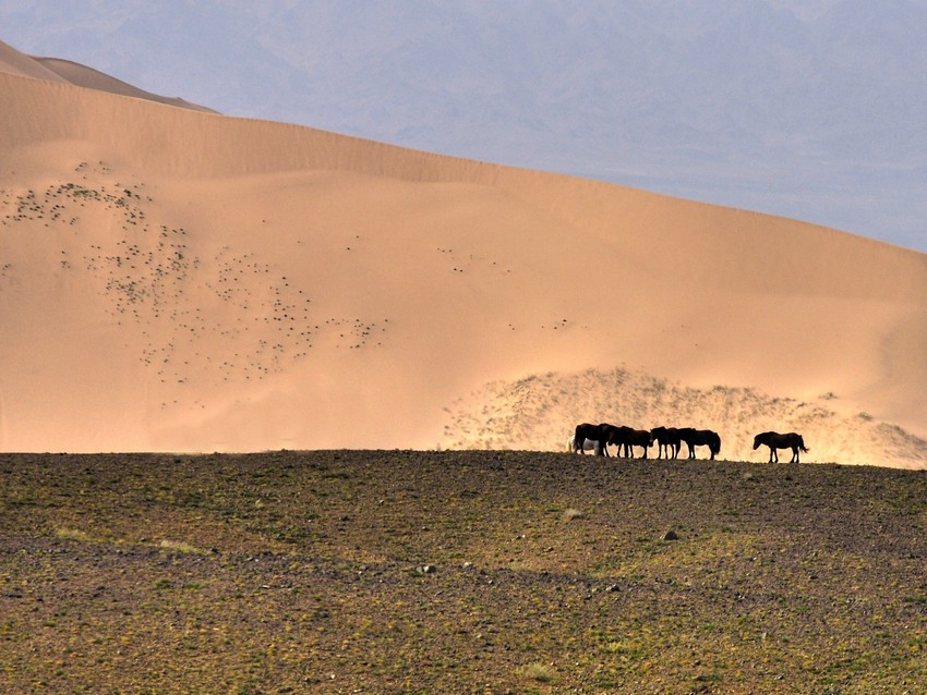 Mongolia