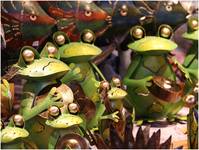 Frogs band