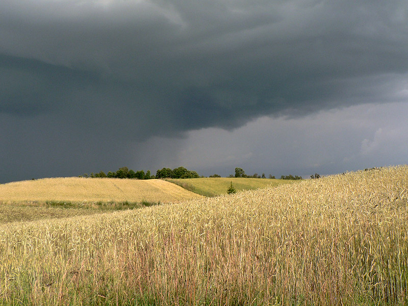 Nadchodząca burza