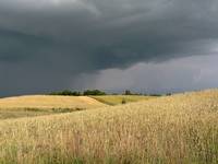 Nadchodząca burza