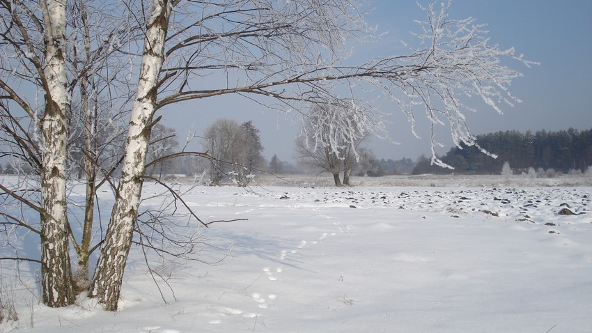 Zima tez może być piękna...