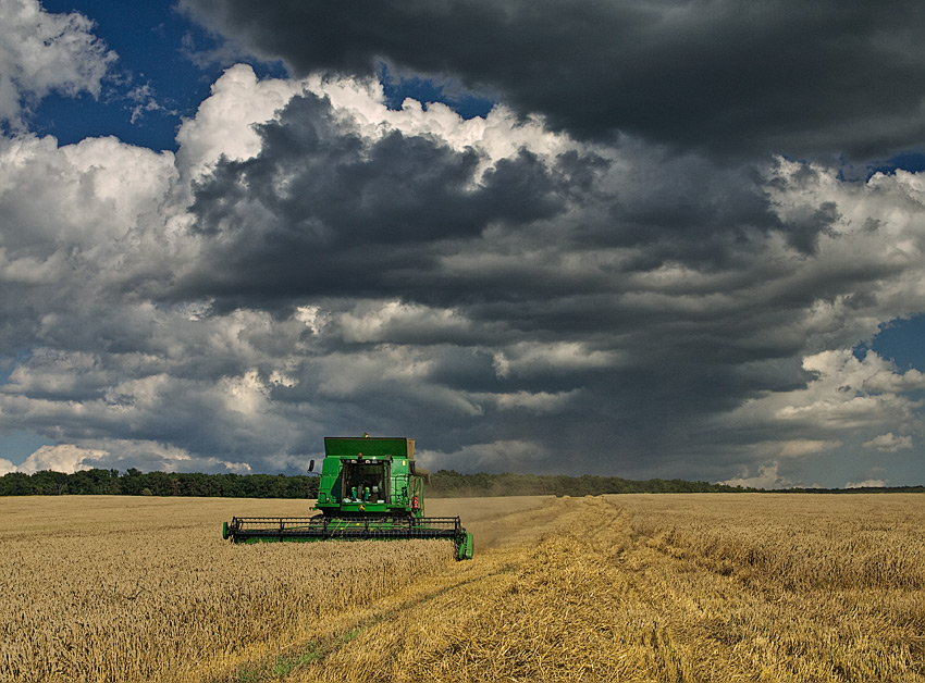 Harvesting