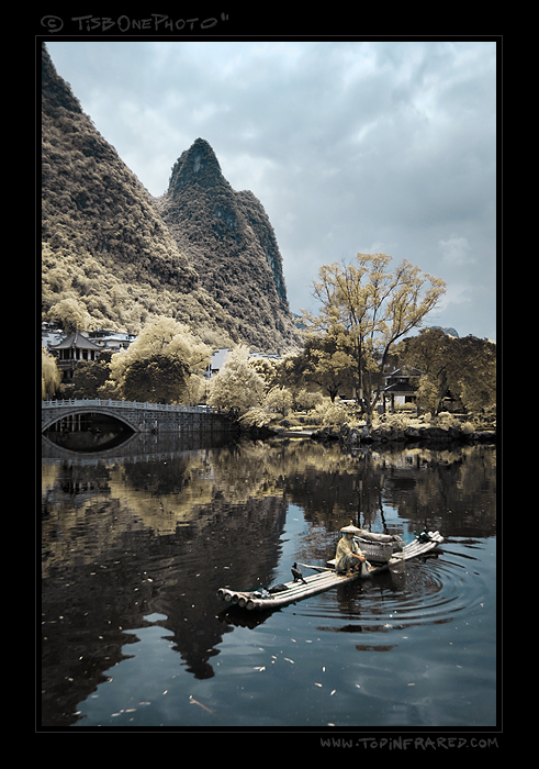 Cormorant Fisherman