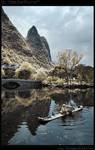 Cormorant Fisherman