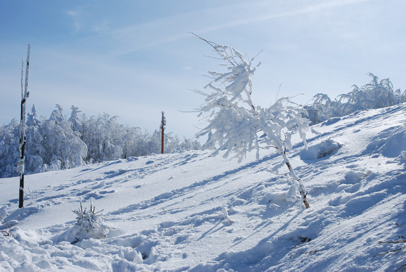 Beskid Sadecki