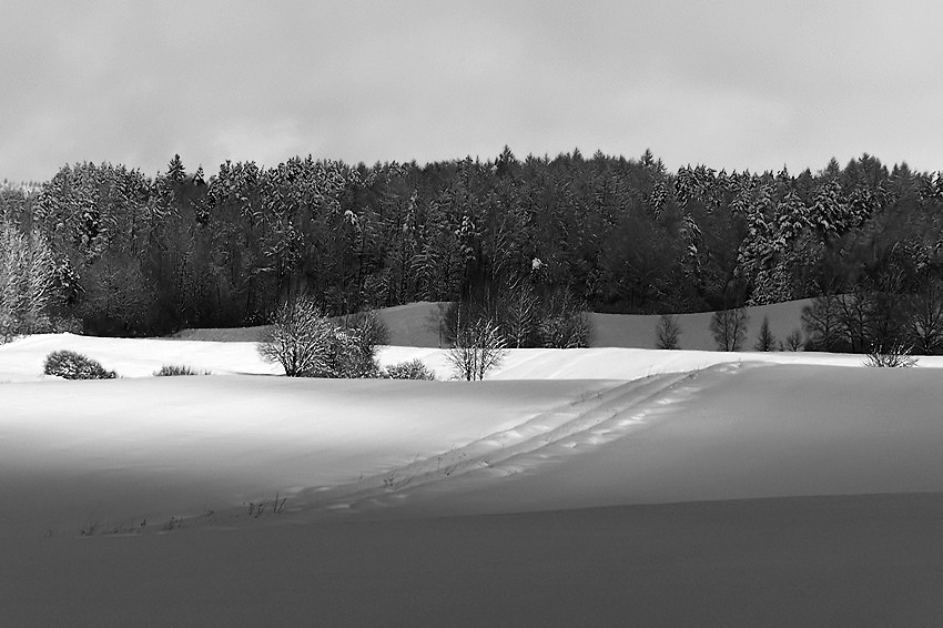 czarno-białe Kaszuby