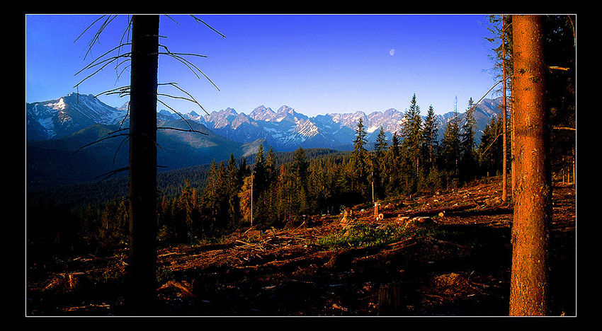 Tatry  z Głodówki