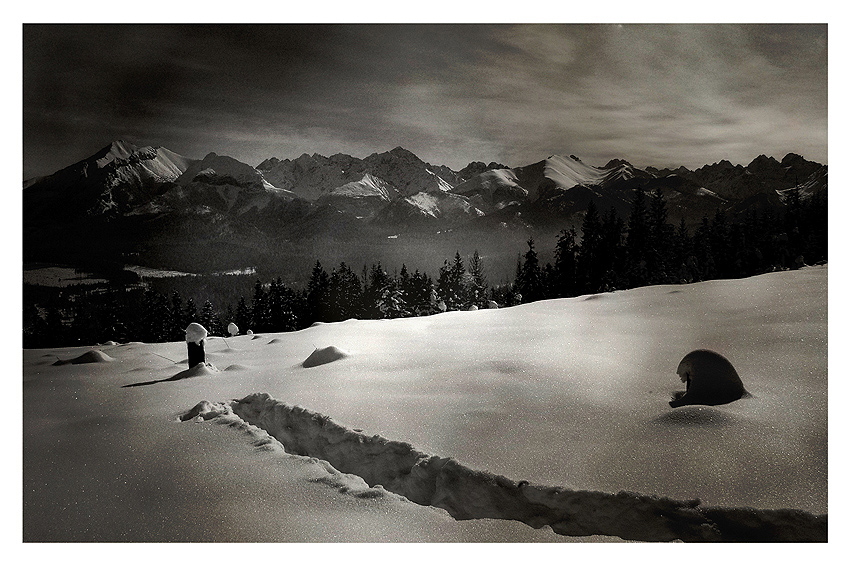 tatry moje własne