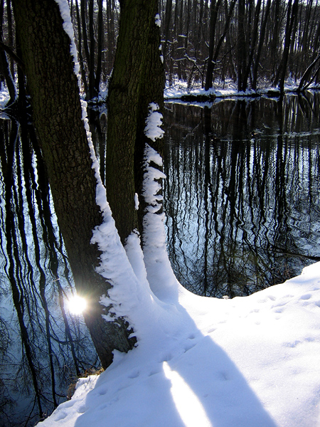 Niebieskie Źródła - Tomaszów Mazowiecki