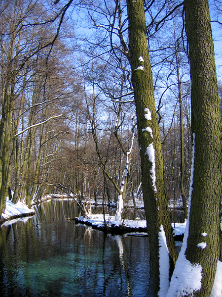 Niebieskie Źródła - Tomaszów Mazowiecki