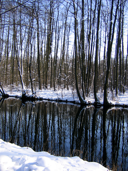 Niebieskie Źródła - Tomaszów Mazowiecki